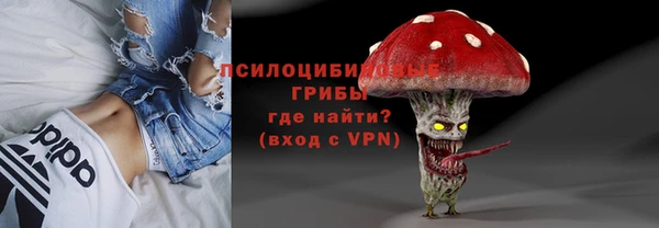ГАЛЛЮЦИНОГЕННЫЕ ГРИБЫ Богородицк