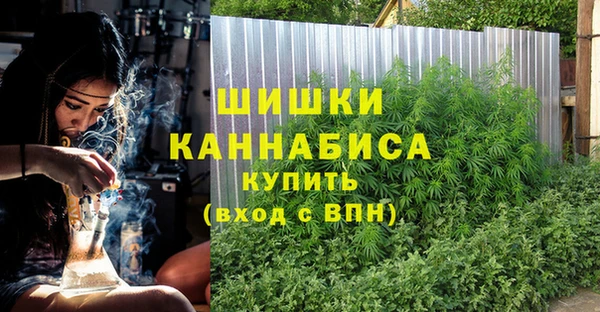 ГАЛЛЮЦИНОГЕННЫЕ ГРИБЫ Богородицк