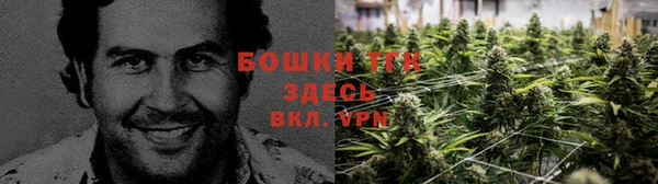 наркотики Богданович