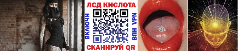 дарк нет телеграм  Михайлов  Марки N-bome 1500мкг 